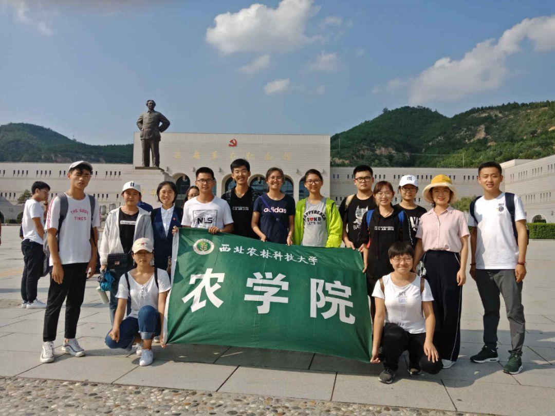 雷竞技比分